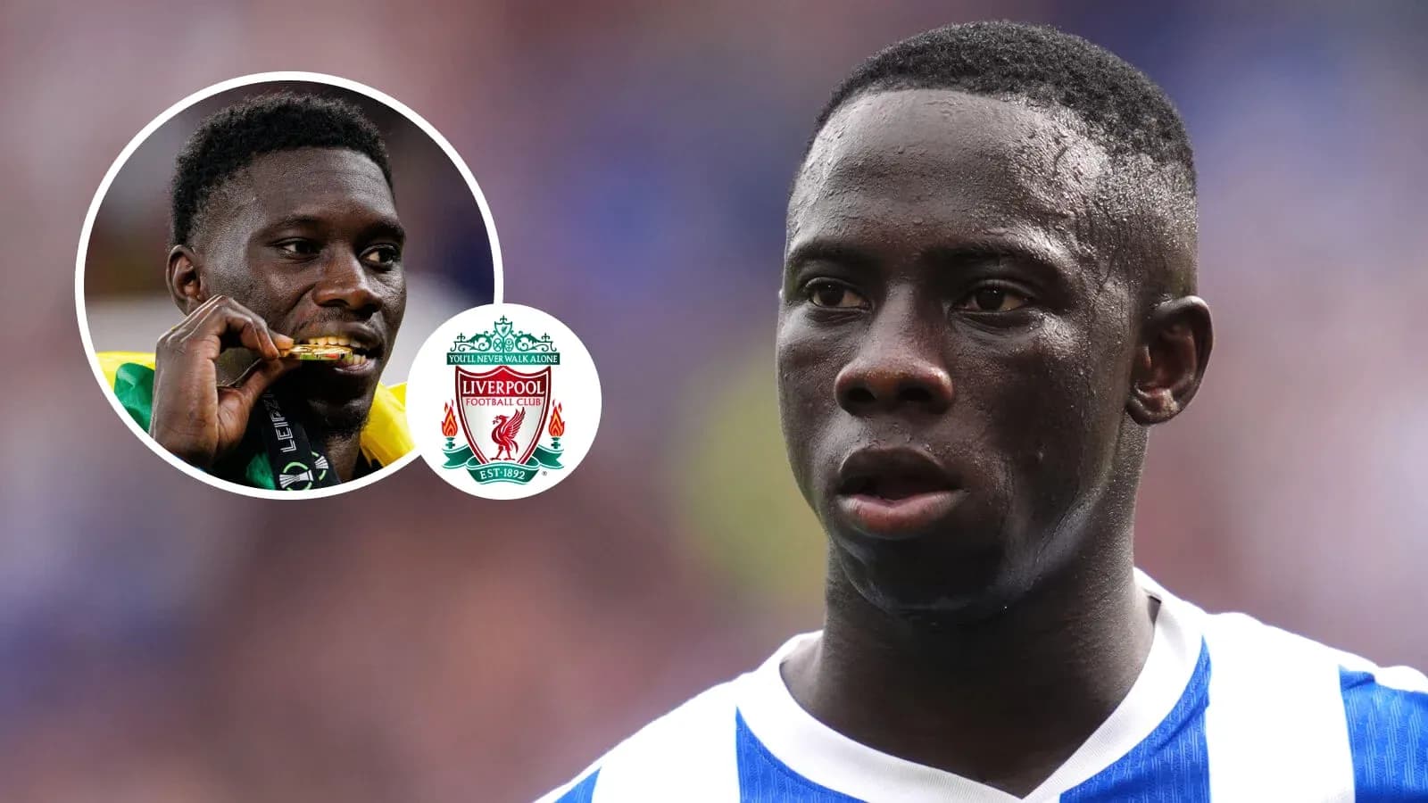Jugador de fútbol con camiseta de Brighton en el campo