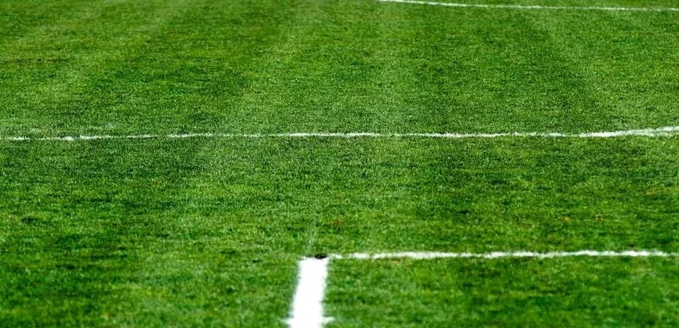 Campo de fútbol con líneas de demarcación visibles