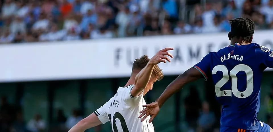 Juego entre Fulham y Newcastle en la Premier League