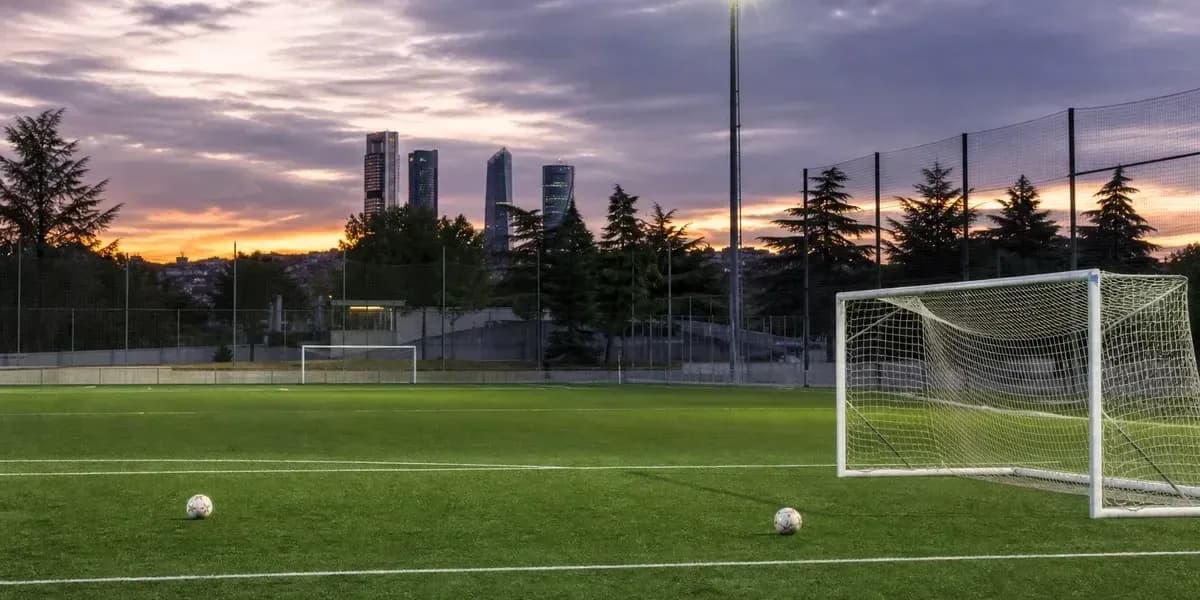 Campo de fútbol con dos balones y edificios al fondo