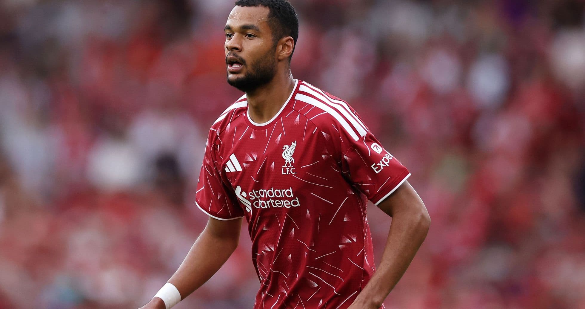 Iraola no garantiza permanencia de Gakpo mientras Liverpool avanza por Barcola